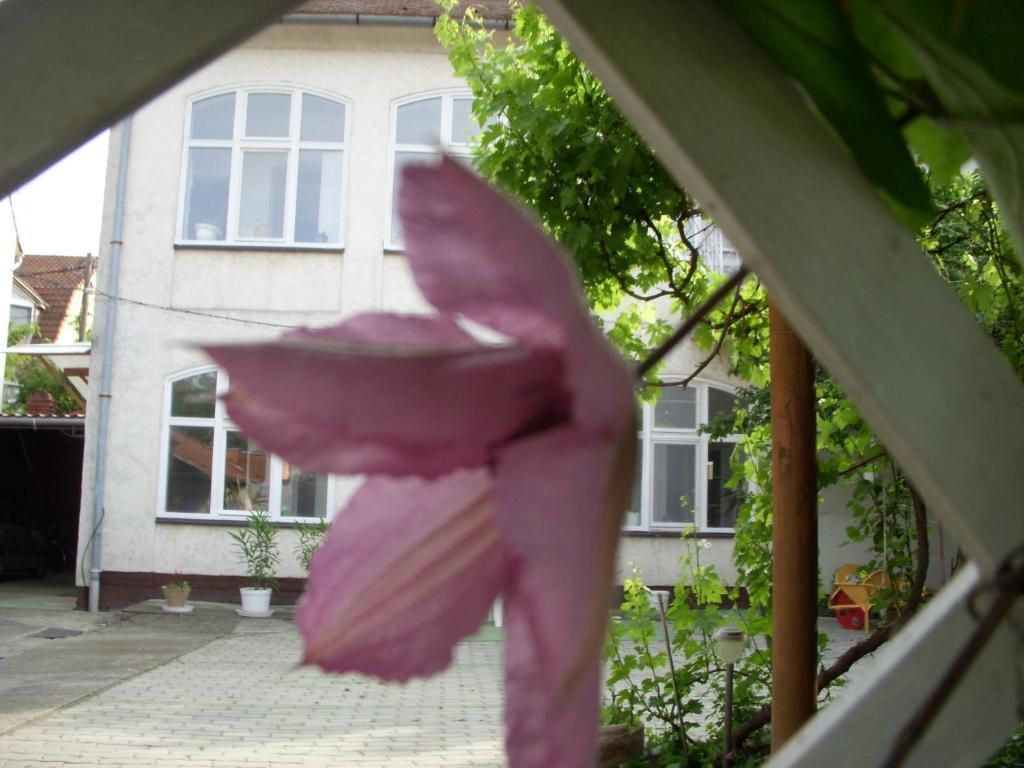 Garden Szivarvany Utcai Vendeghaz Szeged Luaran gambar